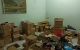 thum-9090824_13r8jQL2xO_1697323017.jpg