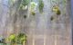 thum-9091067_1eOSR6HDcA_1697441351.jpg