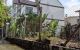 thum-9091350_oEqcArCIVd_1697515476.jpeg