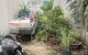 thum-m_1Ztic9ebr8_1697475749.jpg
