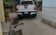 thum-9091737_283iUquNAR_1697623693.jpg