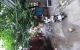 thum-9091961_Od5nZVXltz_1697706519.jpg
