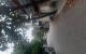thum-m_YmU2aqQnLg_1698192378.jpg