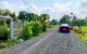 thum-9093437_buWOZtrP5y_1698308050.jpg