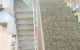 thum-9093503_Gen9pWqv1s_1698326025.jpg
