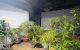 thum-9093772_39MdghzCfA_1698424114.jpg