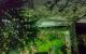 thum-9095331_uOoDlb2Gkd_1698989462.jpg
