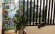 thum-9095397_RflBMStnwX_1699003198.jpeg