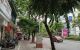 thum-m_M1hGJU0OI9_1699003936.jpeg