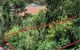 thum-m_SrykMeNt6s_1699003609.jpg