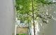 thum-9095503_OFdypmA7Ci_1699061848.jpg