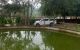 thum-9095578_lC8eJiPg0n_1699078039.jpeg
