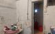 thum-9095597_bDhtvPJoZL_1699082400.jpg