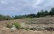 thum-9096028_Yd25Oo8zum_1699281679.jpg
