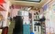 thum-m_QexZOi3XPw_1699353063.jpg