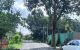 thum-9096352_WjIcMYm7qL_1699412844.jpg