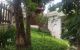 thum-9096435_s2nHTV7oLk_1699429937.jpg