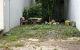 thum-m_SpuerVkCZH_1699430546.jpg