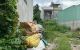 thum-9096562_rfV3Q5K1c0_1699495520.jpeg