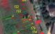 thum-9096624_iVh3jqG9Yu_1699507064.jpg