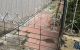 thum-9096826_traOUYwpAJ_1699587621.jpg