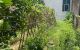 thum-9097709_1d69Gu03NS_1699936624.jpg