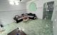 thum-9098152_yxUbHCzAiZ_1700099938.jpg