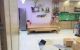 thum-9098264_SB7ai4VI5w_1700123934.jpeg