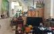 thum-9098355_0MWRXVns7Y_1700177849.jpg