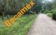 thum-9098481_EqUH0DjKR2_1700207404.jpg