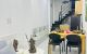 thum-m_YJZMpeiWmV_1700200795.jpeg