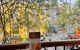 thum-9098725_XVjEomI85u_1700310237.jpg