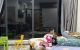thum-9098727_FuxPcgSrkA_1700310616.jpg