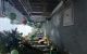 thum-m_U1ywDXYn3t_1700300068.jpg