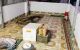 thum-9099226_PNcD9somZ2_1700541168.jpeg