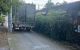 thum-9099296_RvQKM0Np7L_1700557330.jpg