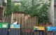 thum-m_u2jh4AYq0J_1700536237.jpg