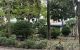 thum-9099539_LqicTwExIf_1700641774.jpeg