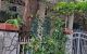 thum-m_WQO9tJhAeH_1700642070.jpg