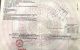 thum-9099771_yCMKbDJ89l_1700727081.jpg