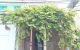 thum-m_qscTE9lnOL_1700706338.jpg