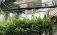thum-m_HUkgPOREah_1700796071.jpg