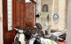 thum-m_zOBG1KJH7Q_1700797065.jpg