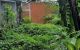 thum-9100133_MZNIDH6SAq_1700875685.jpg