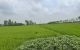 thum-9100159_jKEtuvac2n_1700881322.jpg