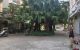 thum-9100199_ymzKc6exaj_1700894150.jpg
