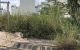 thum-9100202_7QI2ycg0SY_1700894966.jpg