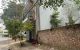 thum-9100224_aczJAkjm39_1700902607.jpeg