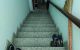 thum-9100455_9aED4tVcfO_1701053994.jpeg
