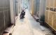 thum-m_jyeELo9Mkp_1701085639.jpg